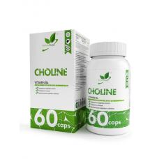 https://expert-sport.by/image/cache/catalog/category/pre2_choline-vitamin-b4-holin-vitamin-b4-_36651-228x228.jpg