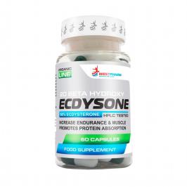 Экдистерон Ecdysone 100 мг от WestPharm (60капс)