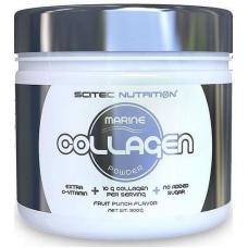 https://expert-sport.by/image/cache/catalog/products/nju/nju/newww/new/new1/1304462439_w640_h640_scitec_collagen_powder_300g-228x228.jpg